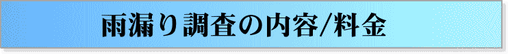 雨漏り調査の内容、料金