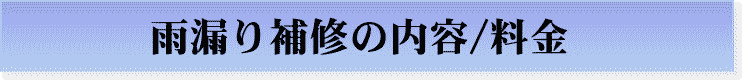 雨漏り修理の内容、料金