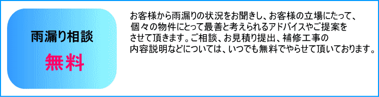 雨漏り相談無料