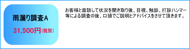 雨漏り調査A