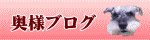 奥様ブログ